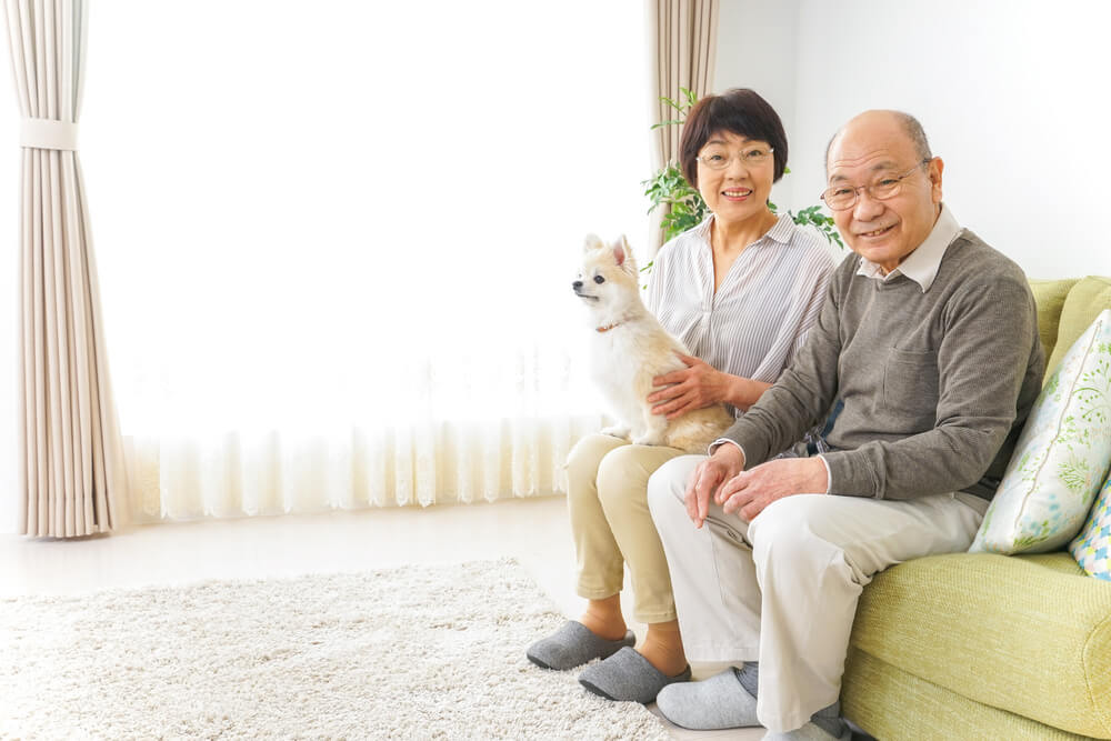 高齢夫婦と犬